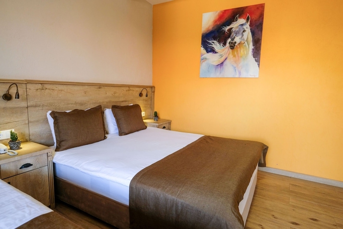 Imagen de la habitación del Hotel Beso Berke Ranch&Nature. Foto 12