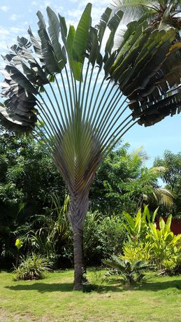 Imagen de la habitación del Hotel Beso Del Viento - Adults Only. Foto 2