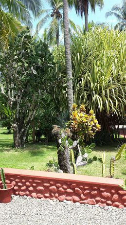 Imagen de la habitación del Hotel Beso Del Viento - Adults Only. Foto 3