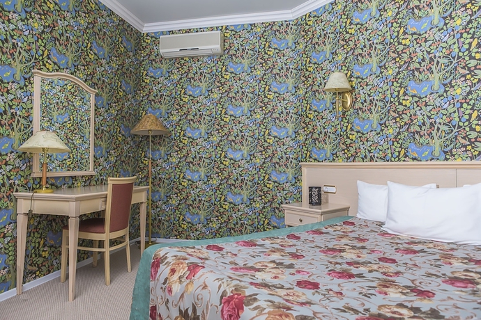 Imagen de la habitación del Hotel Best City. Foto 13