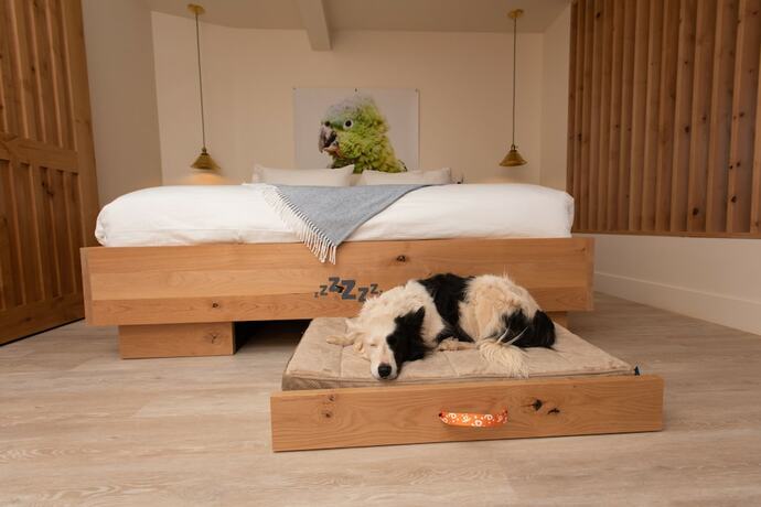 Imagen de la habitación del Hotel Best Friends Roadhouse and Mercantile. Foto 13