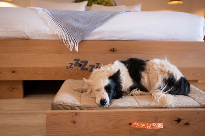 Imagen de la habitación del Hotel Best Friends Roadhouse and Mercantile. Foto 14