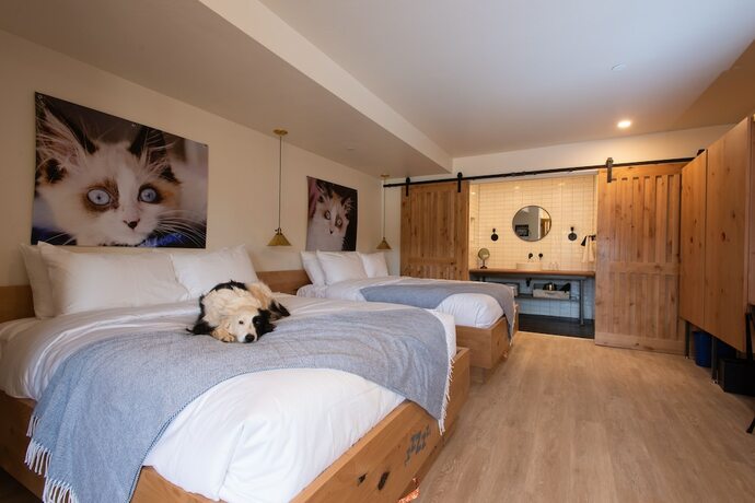 Imagen de la habitación del Hotel Best Friends Roadhouse and Mercantile. Foto 17