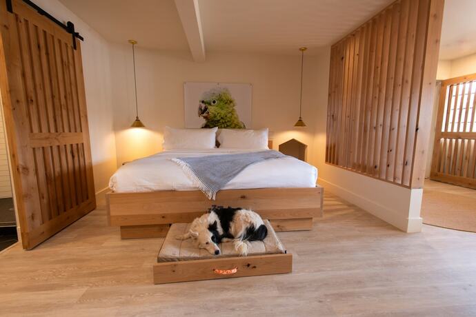 Imagen de la habitación del Hotel Best Friends Roadhouse and Mercantile. Foto 18