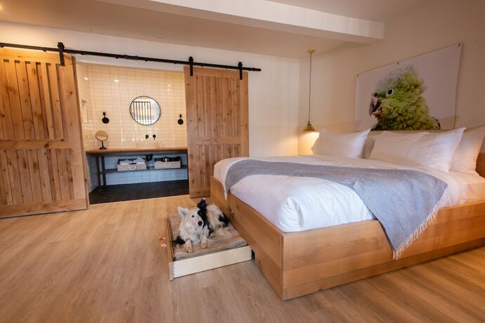 Imagen de la habitación del Hotel Best Friends Roadhouse and Mercantile. Foto 19