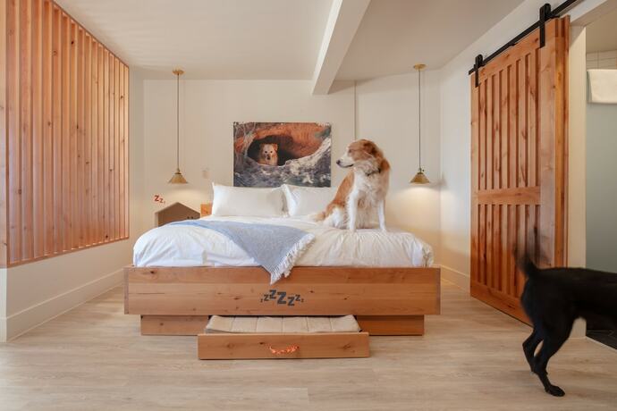 Imagen de la habitación del Hotel Best Friends Roadhouse and Mercantile. Foto 20