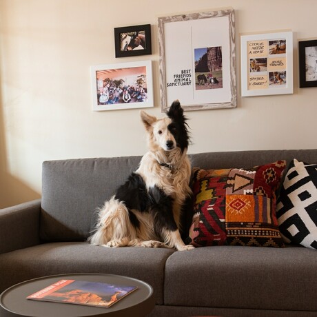 Imagen general del Hotel Best Friends Roadhouse and Mercantile. Foto 10