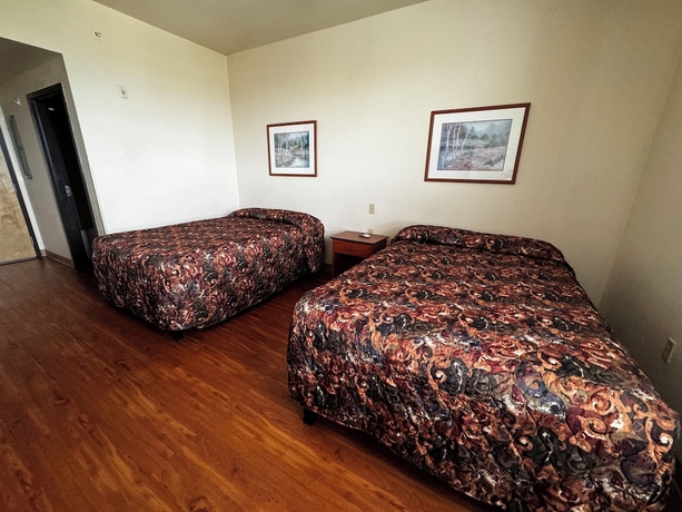 Imagen de la habitación del Hotel Best Studio Inn. Foto 11