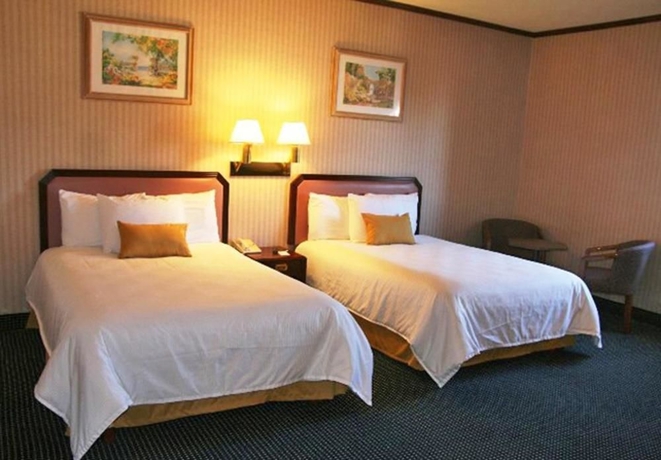 Imagen de la habitación del Hotel Best W Santorin Victoria. Foto 5