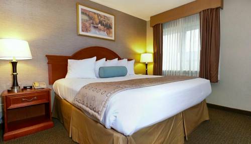 Imagen de la habitación del Hotel Best Western Airport Inn, Moline. Foto 3