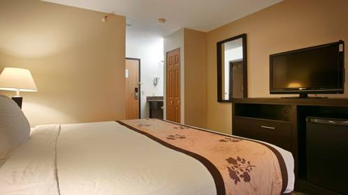 Imagen de la habitación del Hotel Best Western Alexandria Inn. Foto 10
