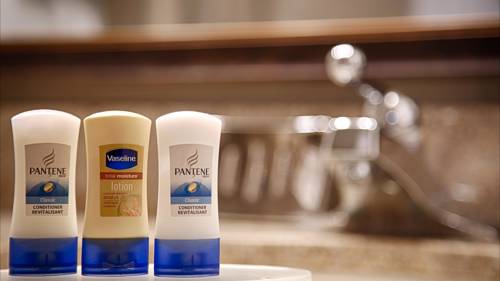 Imagen de la habitación del Hotel Best Western Amador Inn. Foto 14