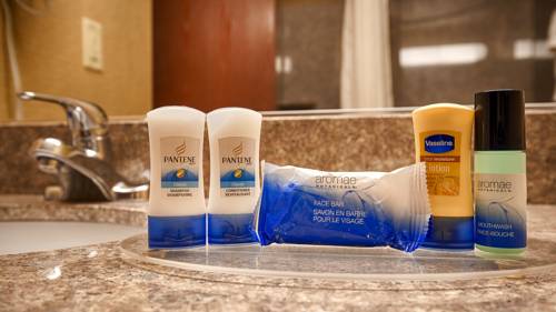 Imagen de la habitación del Hotel Best Western Amador Inn. Foto 15