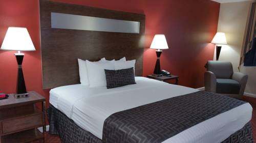 Imagen de la habitación del Hotel Best Western Americana. Foto 9