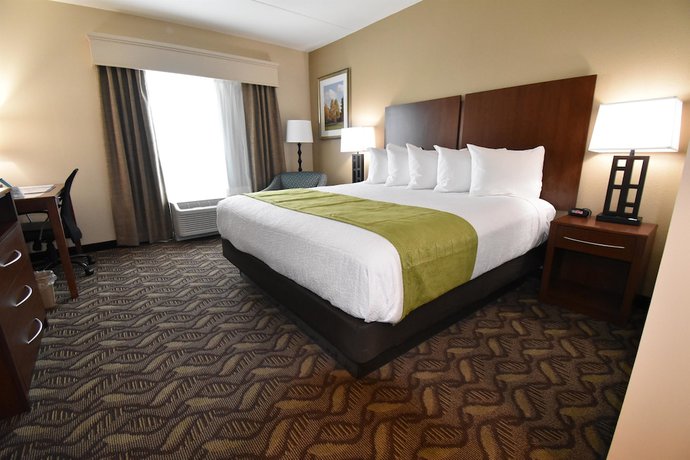 Imagen de la habitación del Hotel Best Western Athens. Foto 13