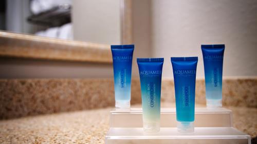 Imagen de la habitación del Hotel Best Western Auburndale Inn & Suites. Foto 7