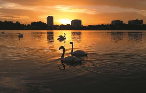 Imagen general del Hotel Best Western Auburndale Inn & Suites. Foto 4