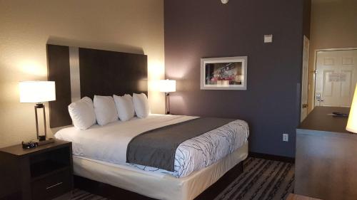 Imagen de la habitación del Hotel Best Western Boerne Inn & Suites. Foto 8