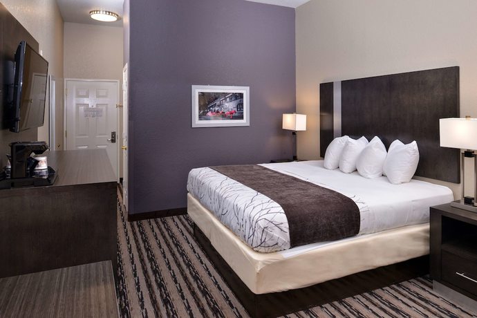 Imagen de la habitación del Hotel Best Western Boerne Inn and Suites. Foto 10