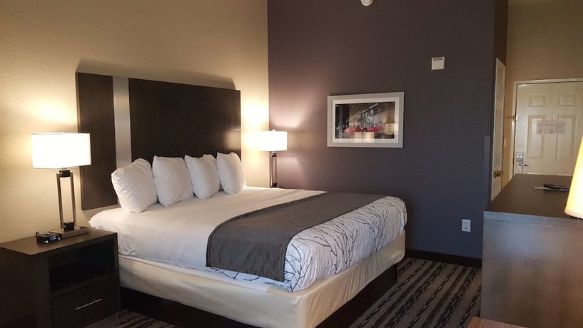 Imagen de la habitación del Hotel Best Western Boerne Inn and Suites. Foto 13