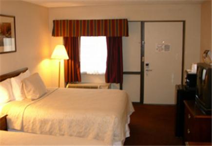 Imagen de la habitación del Hotel Best Western Bordentown Inn. Foto 6