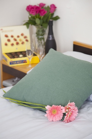 Imagen de la habitación del Hotel Best Western Botnia. Foto 8