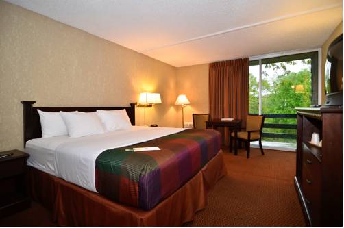 Imagen de la habitación del Hotel Best Western Branson Inn and Conference Center. Foto 16