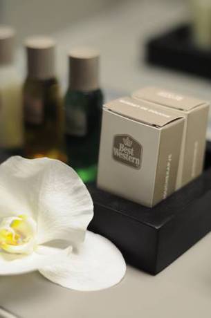 Imagen de la habitación del Hotel Best Western Brussels South. Foto 9