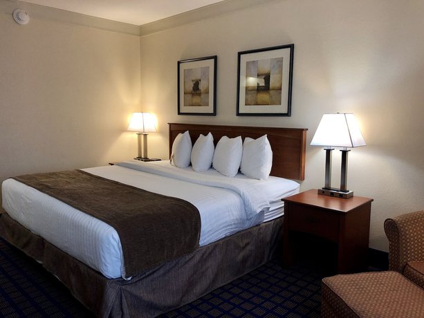 Imagen de la habitación del Hotel Best Western Byron Center. Foto 9