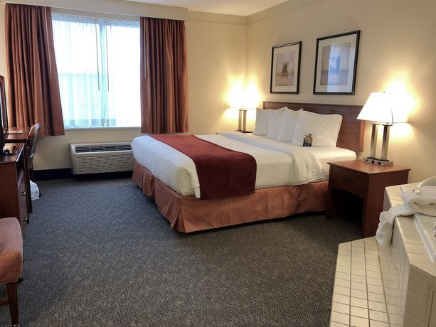 Imagen de la habitación del Hotel Best Western Byron Center. Foto 17