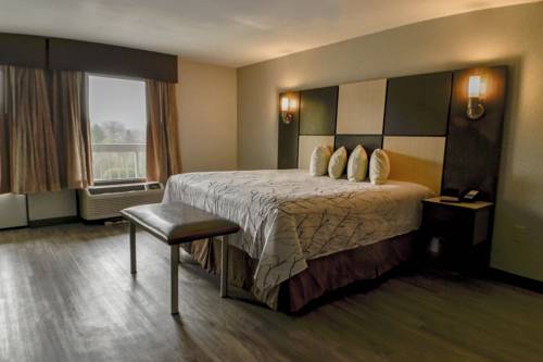 Imagen de la habitación del Hotel Best Western Cades Cove Inn. Foto 10