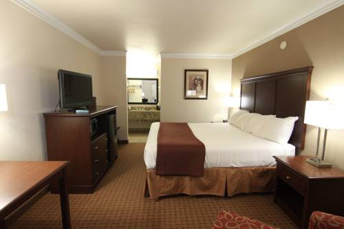 Imagen de la habitación del Hotel Best Western Canton Inn. Foto 3