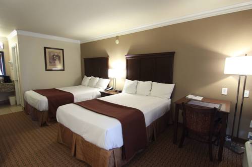 Imagen de la habitación del Hotel Best Western Canton Inn. Foto 13