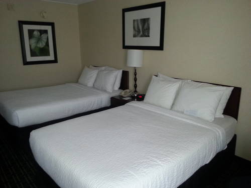 Imagen de la habitación del Hotel Best Western Charleston. Foto 6