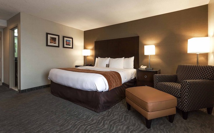 Imagen de la habitación del Hotel Best Western Chicago - Downers Grove. Foto 3