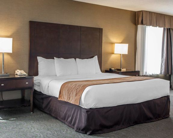 Imagen de la habitación del Hotel Best Western Chicago - Downers Grove. Foto 4