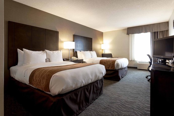 Imagen de la habitación del Hotel Best Western Chicago - Downers Grove. Foto 7