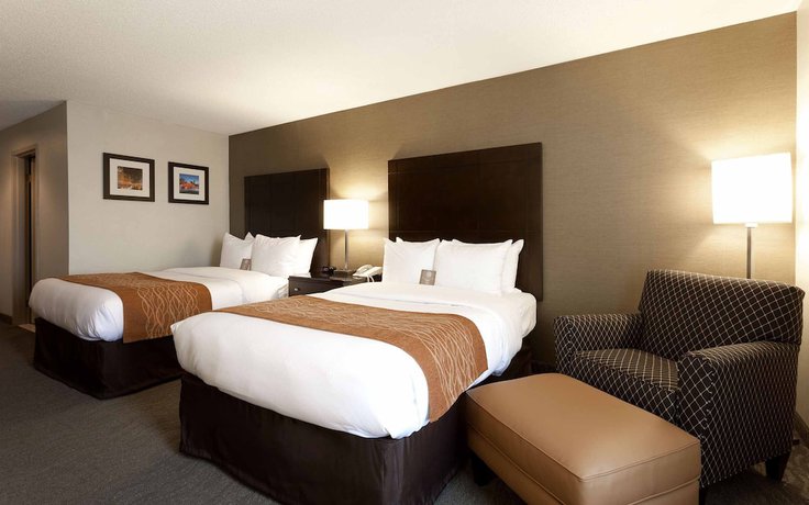 Imagen de la habitación del Hotel Best Western Chicago - Downers Grove. Foto 10