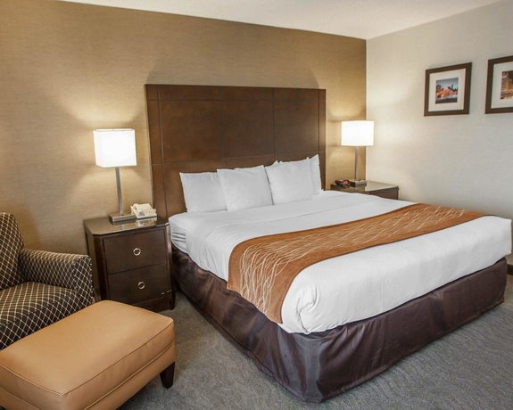 Imagen de la habitación del Hotel Best Western Chicago - Downers Grove. Foto 14