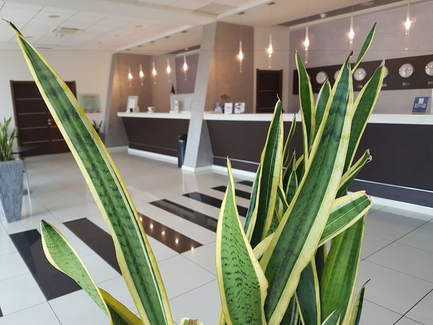 Imagen de los interiores del Hotel Best Western Class. Foto 18