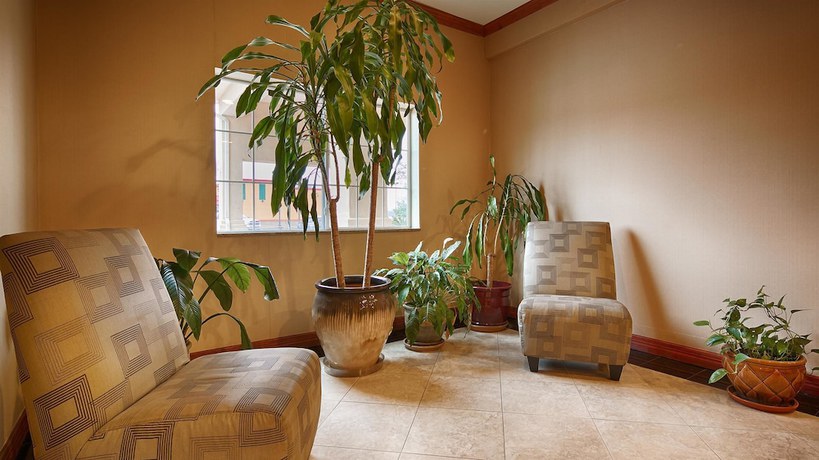 Imagen de los interiores del Hotel Best Western Cleveland Inn And Suites. Foto 11