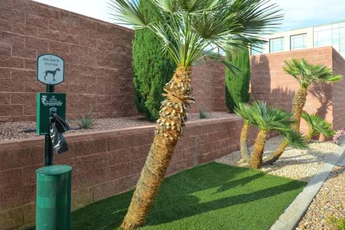 Imagen de la habitación del Hotel Best Western Coral Hills. Foto 2