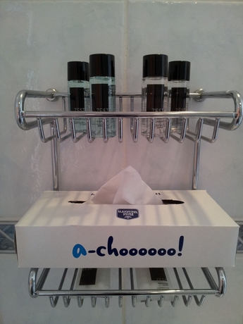 Imagen de la habitación del Hotel Best Western Corona. Foto 12