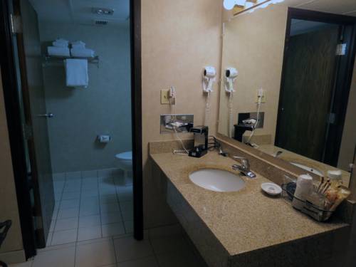 Imagen de la habitación del Hotel Best Western Cottontree Inn. Foto 10