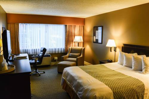 Imagen de la habitación del Hotel Best Western Cowichan Valley Inn. Foto 7