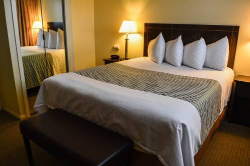 Imagen de la habitación del Hotel Best Western Cowichan Valley Inn. Foto 12