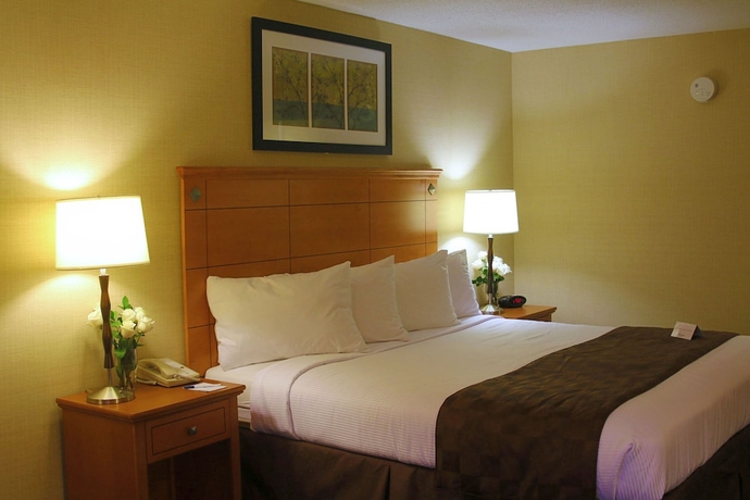 Imagen de la habitación del Hotel Best Western Danbury/bethel. Foto 8