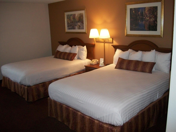 Imagen de la habitación del Hotel Best Western Des Plaines Inn. Foto 5