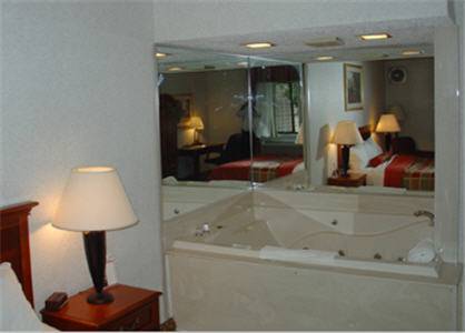 Imagen de la habitación del Hotel Best Western Detroit Livonia. Foto 6