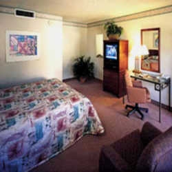 Imagen general del Hotel Best Western Dobson Ranch Inn. Foto 6